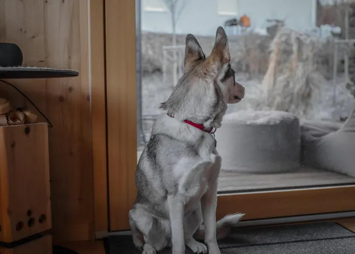 Westerwald Sauna, 5g Internet, E-ladesaeule Apartment *